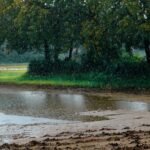 pexels-ankit-rainloure-1425442-28111549