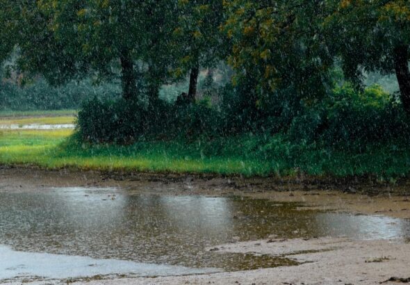 pexels-ankit-rainloure-1425442-28111549